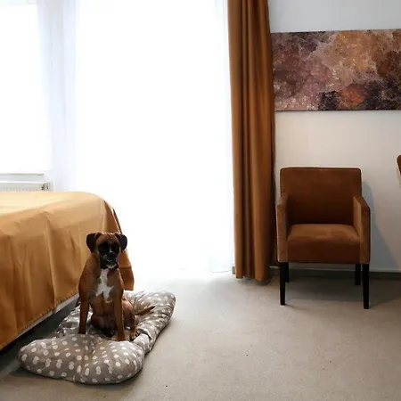 Hotel Arthotel Bad Pyrmont